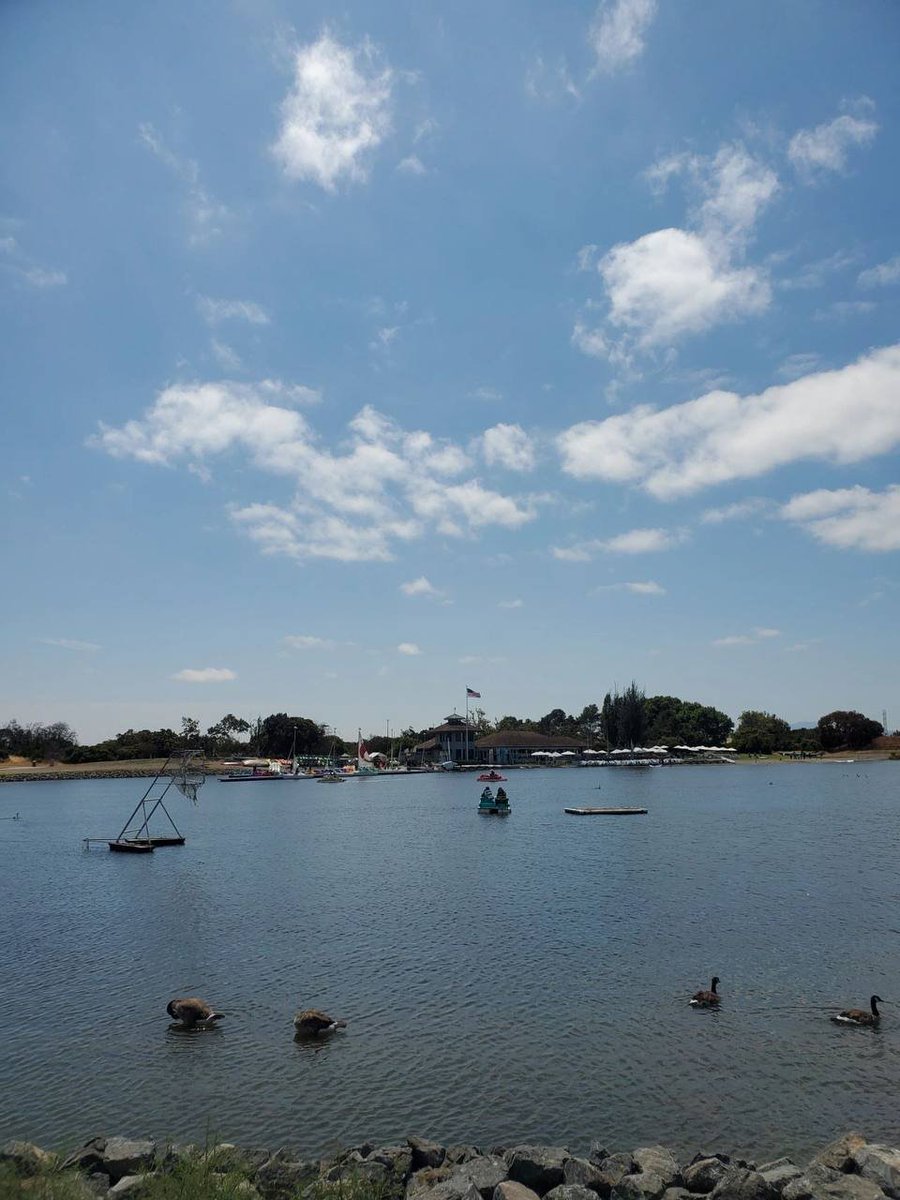 out for a walk in the lake