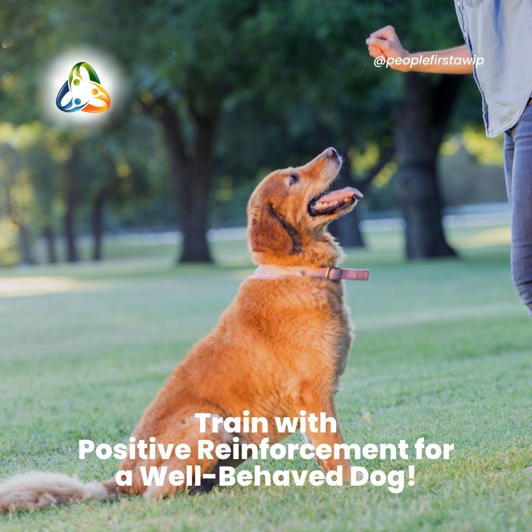 Positive reinforcement training is the key to building a strong bond and teaching your dog good manners. Reward their desired behaviors with treats, praise, and playtime, and avoid punishment-based methods. Remember, patience and consistency are key! #DogTraining