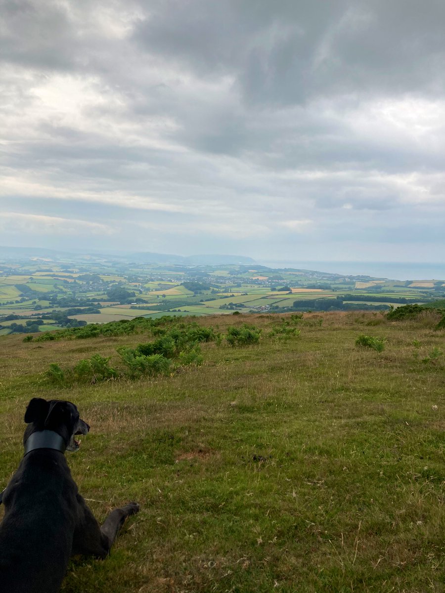 Jeremy Daly (@jeremydaly1) on Twitter photo Nice day in Somerset with a welcome break in the heat. Made a shark, stroked a dogs belly, walked in the @Quantockhills and had a few ciders in the <a href="/BicknollerInn/">Bicknoller Inn</a>. Lush, as they say around here? Nice day in Somerset with a welcome break in the heat. Made a shark, stroked a dogs belly, walked in the @Quantockhills and had a few ciders in the <a href="/BicknollerInn/">Bicknoller Inn</a>. Lush, as they say around here?