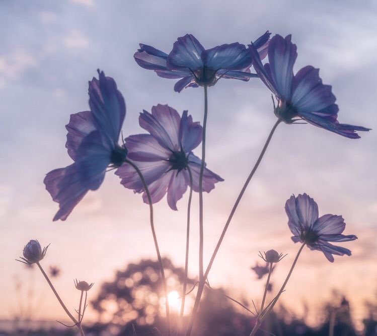 needmoretwix's tweet photo. that one person who is as calming as this color https://t.co/6HZbG0RxW0