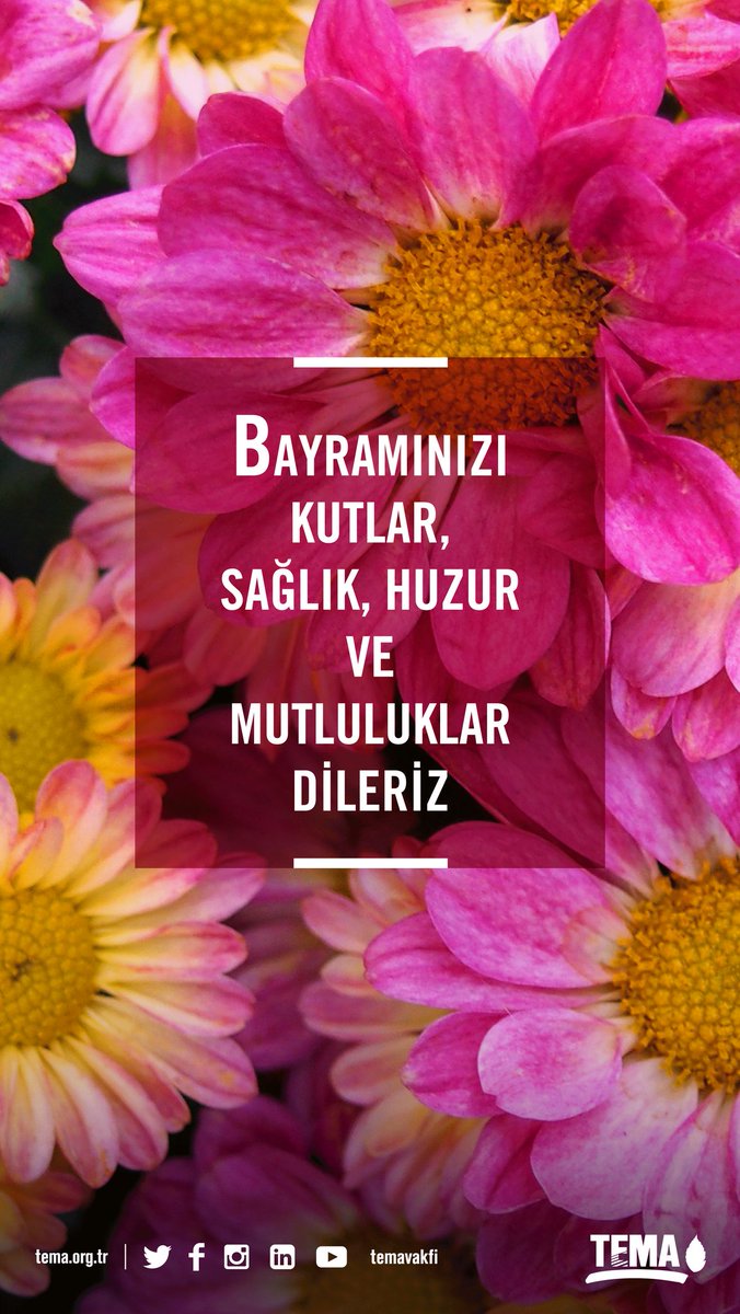 Fatma AYAR (@mamati61) on Twitter photo 