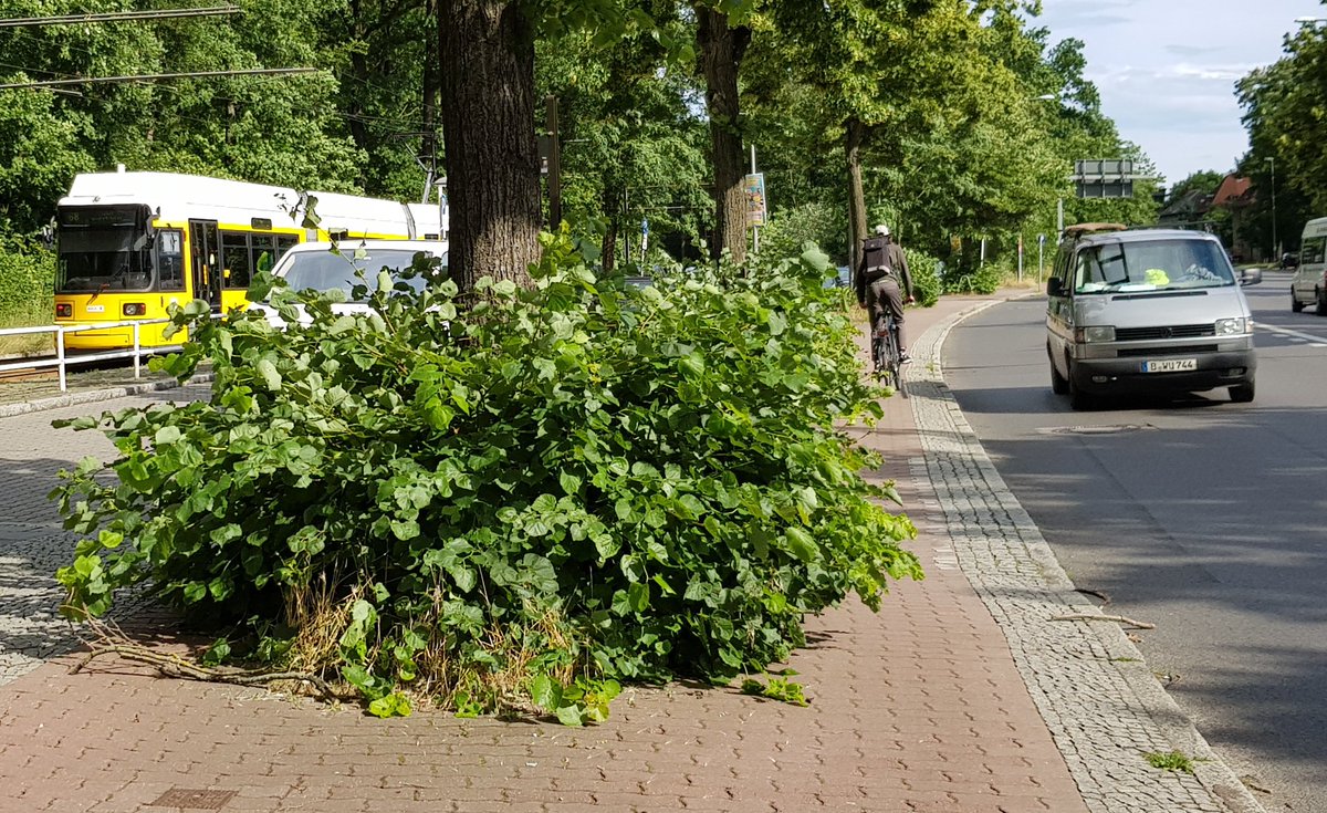 Benutzungspflichtiger Zweirichtungsradweg in Berlin Treptow-Köpenick anno 2023. Oder wie Kai Wegner sagen würde: "Wir brauchen mehr Flexibilität."