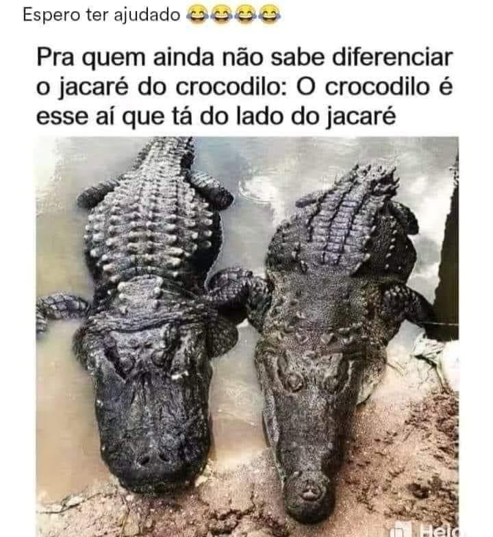 meleque65's tweet photo. 😅😅😅😅 https://t.co/GzzF9ymSZR