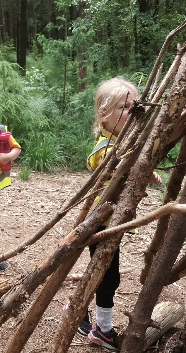 EpicExminster's tweet photo. Year 1 have thoroughly enjoyed their trip to Haldon Forest today. They made dens, habitats for Superworm and sketches of the fabulous view. https://t.co/SSrF2uLO9h