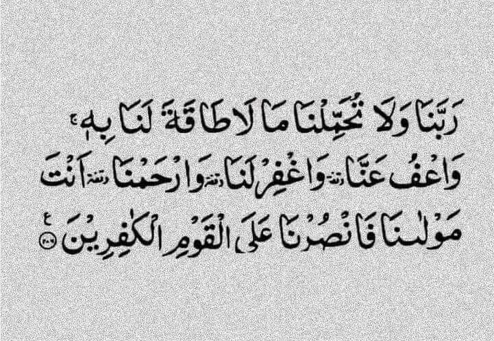 صدقة ل محمد طارق (@mohamedt2021) on Twitter photo 