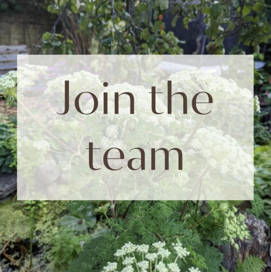 Ever thought of being a trustee?

We currently have two trustee vacancies. It's a great (and not too time consuming) way to contribute your skills to some amazing stuff!!
Visit growuk.org/join-our-team to find out more
#trustee #nature #sheffieldissuper #mentalhealth #youngpeople