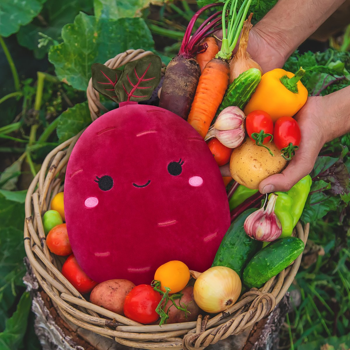 squishmallows's tweet photo. Our heart just skipped a beet 💜 

#Squishmallows #SquishmallowsSquad https://t.co/UsZR54XrO4