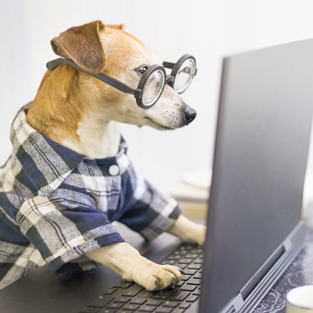 Did you know that we offer a correspondence course in #Arbitration?
adric.ca/correspondence…