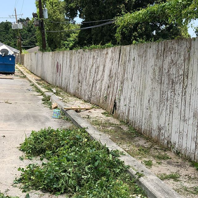 McfaithC's tweet image. Our leaf clean-up services use the latest industry-leading tools and technologies, ensuring all leaf debris is quickly cleared. Call Mcfaith Lawn Care LLC today at (504) 723-6544!

#LeafCleanUp bit.ly/3MovBdj