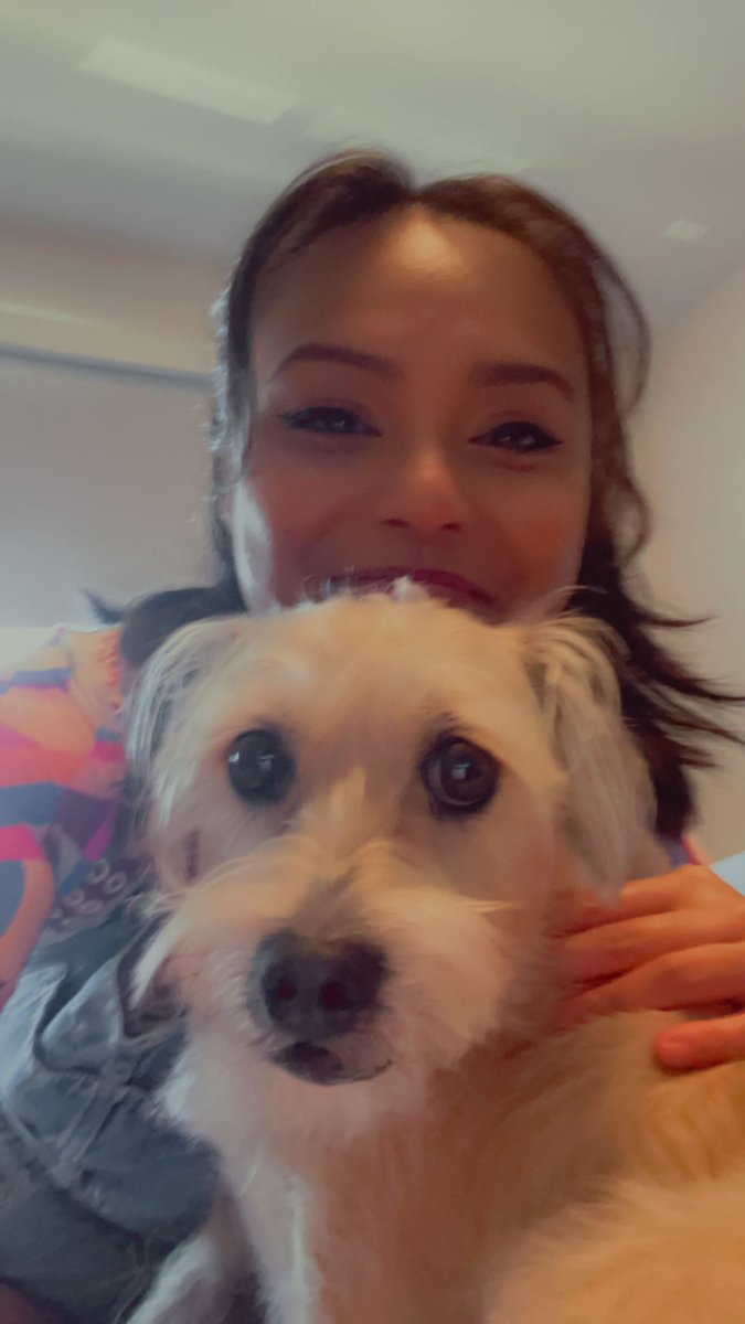 🐺❤️‍🩹 tweet media