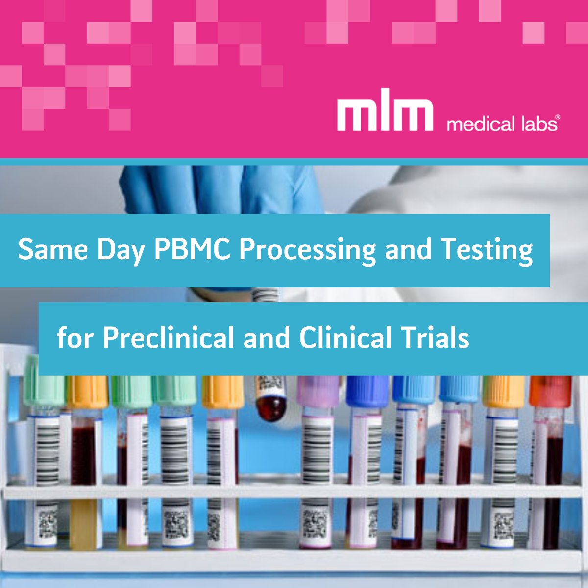 Same Day PBMC processing and testing - customized solutions to meet your precise requirements, keeping your preclinical and clinical trials in motion! Reach out to our logistics experts to get your project online >> hubs.ly/Q01VZm140
#centrallab #pbmc #assaydevelopment
