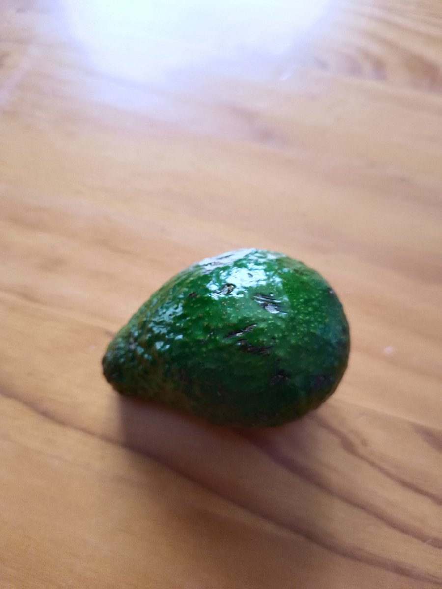 Kiara_Fey's tweet photo. Nos hemos encontrado un aguacate abandonado en la carretera y lo hemos adoptado :3 Se llama Kiwi https://t.co/Ez0v1TdYAg