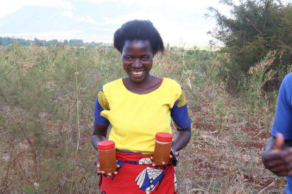 TobiOloo's tweet photo. When we pool resources for a worthy cause, the result can be very transforming. Thanks to @WFP and #parners, Mary and her colleagues in Phalombe, Southern  #Malawi have reclaimed a wasteland, joined a savings group, and are producing honey https://t.co/s9jH73IvRy