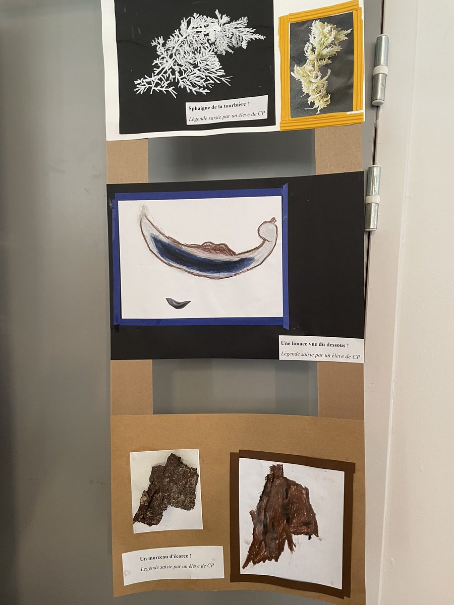 DelphineRaba's tweet photo. Les parents et élus découvrent l’exposition ENS réalisée par les classes de l’école de Biol. Un succès en reconnaissance du travail des enseignants et ATSEM. Une aide importante du département pour sensibiliser les citoyens de demain #Biol @patrice_gros @CDIsere https://t.co/sZWSGWB8Gw