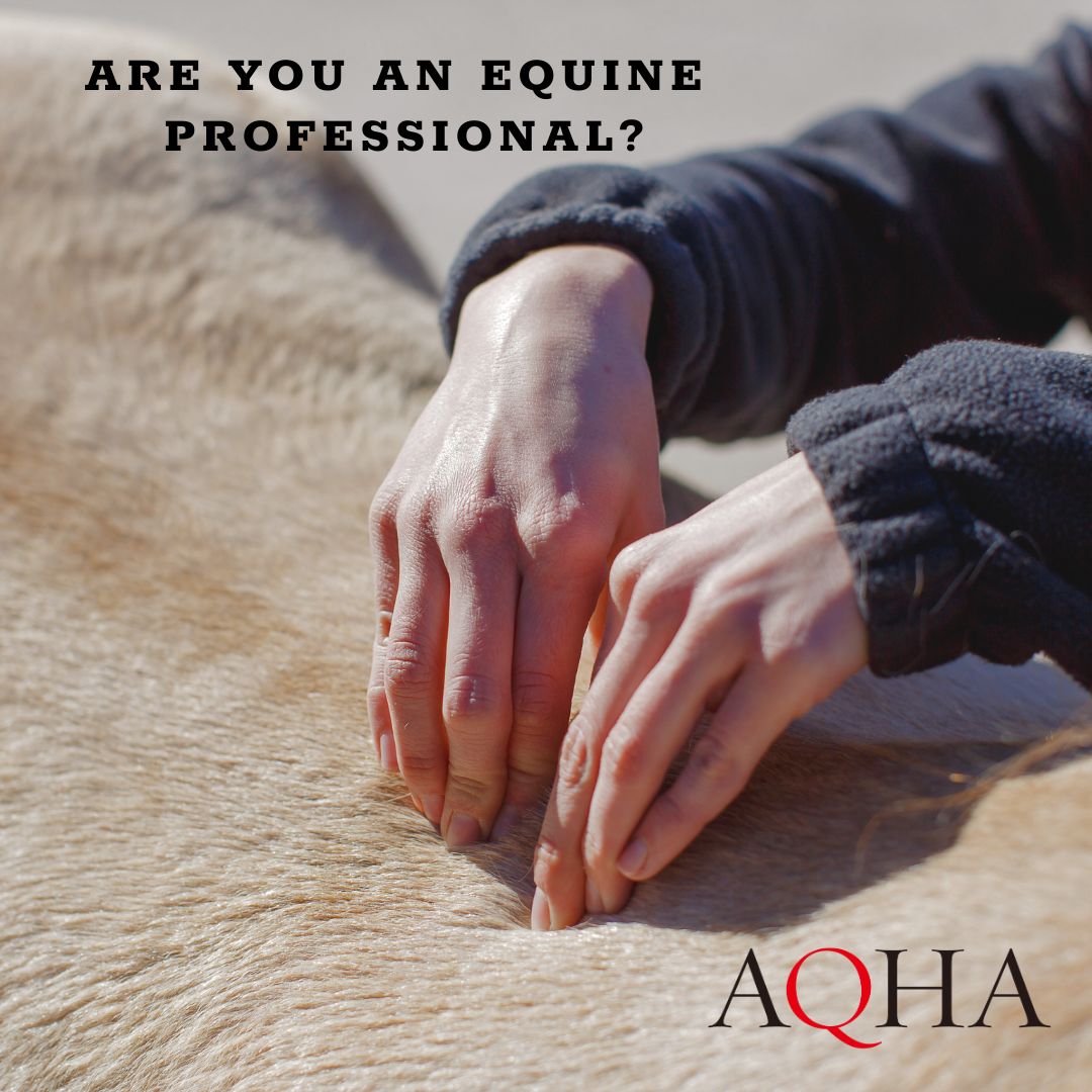 We want to know what 𝓮𝓺𝓾𝓲𝓷𝓮 𝓬𝓪𝓻𝓮𝓮𝓻 you have. Are you a vet, farrier, dentist, chiropractor or trainer? 🐴Our AQHA partners wants to offer valuable information, discounts and much more to you! Fill out this form and tell us more about yourself➡️ hubs.li/Q01VXLGG0