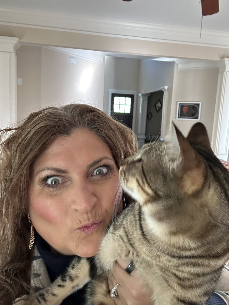Jefferspet's tweet photo. #liveshopping with Charlie 3pm central https://t.co/qaZxQaiFtO we will be talking about calming products for dogs and cats. #takingmycattowork 🤪 https://t.co/jFPcvXbS6K