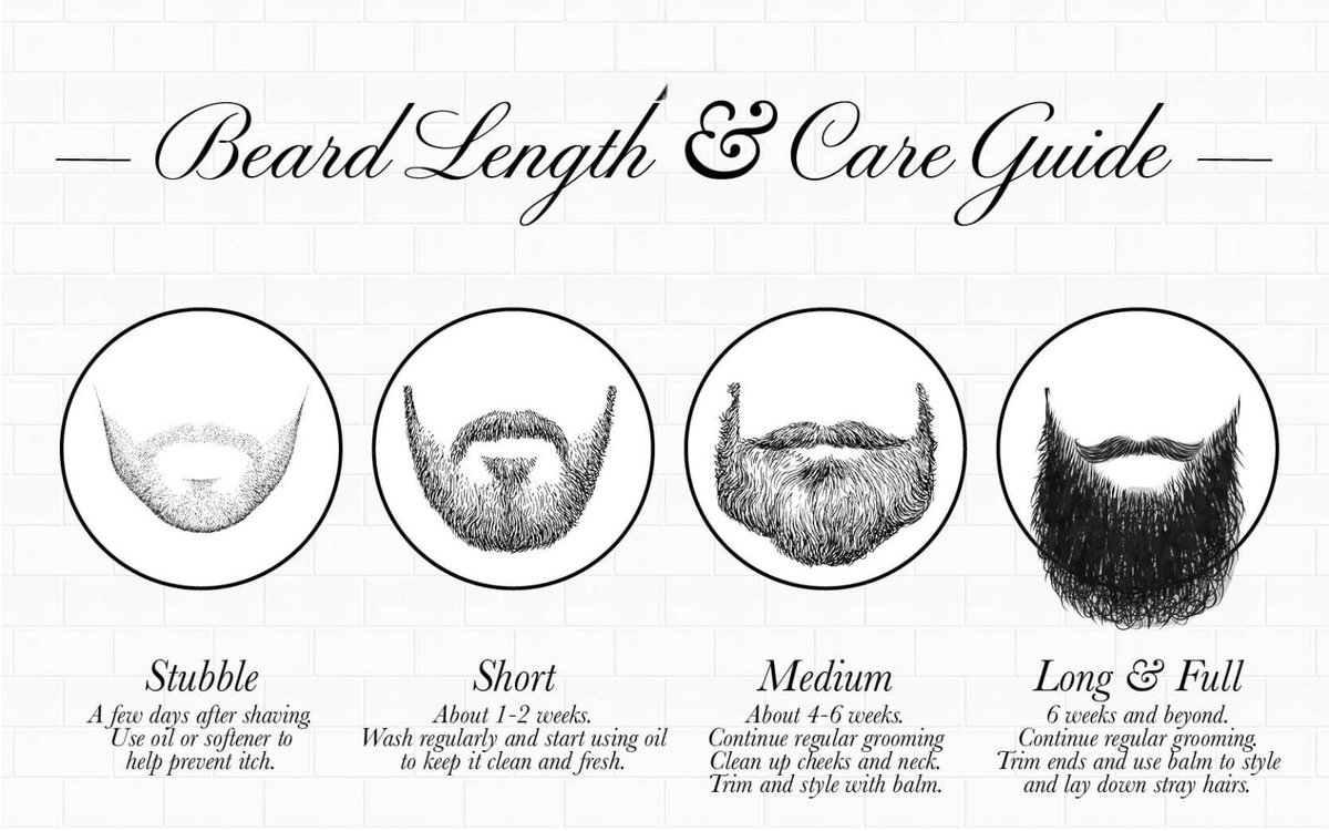 TheFormalEdit's tweet photo. Beard Length and Care Guide.
.
.
.
.
.
.
#TFE https://t.co/EbO265yOOR