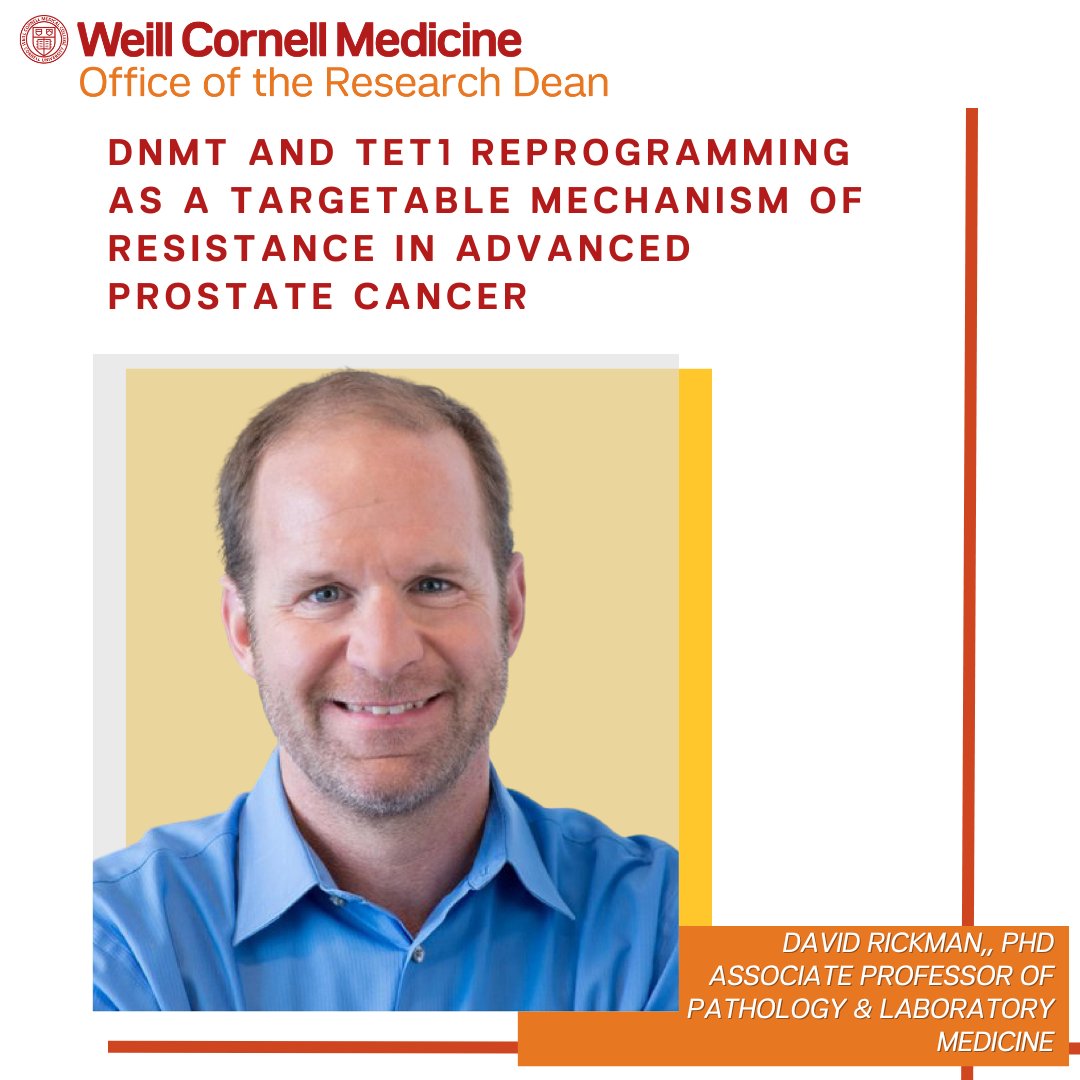 WCM Office of the Research Dean (@wcmresearch) on Twitter photo Congratulations to Dr. David Rickman who received a $3.2M grant from the National Cancer Institute for a study entitled “DNMT and TET1 reprogramming as a targetable mechanism of resistance in advanced prostate cancer.” <a href="/wcmdeptofmed/">Weill Department of Medicine</a> <a href="/thenci/">National Cancer Institute</a> Congratulations to Dr. David Rickman who received a $3.2M grant from the National Cancer Institute for a study entitled “DNMT and TET1 reprogramming as a targetable mechanism of resistance in advanced prostate cancer.” <a href="/wcmdeptofmed/">Weill Department of Medicine</a> <a href="/thenci/">National Cancer Institute</a>