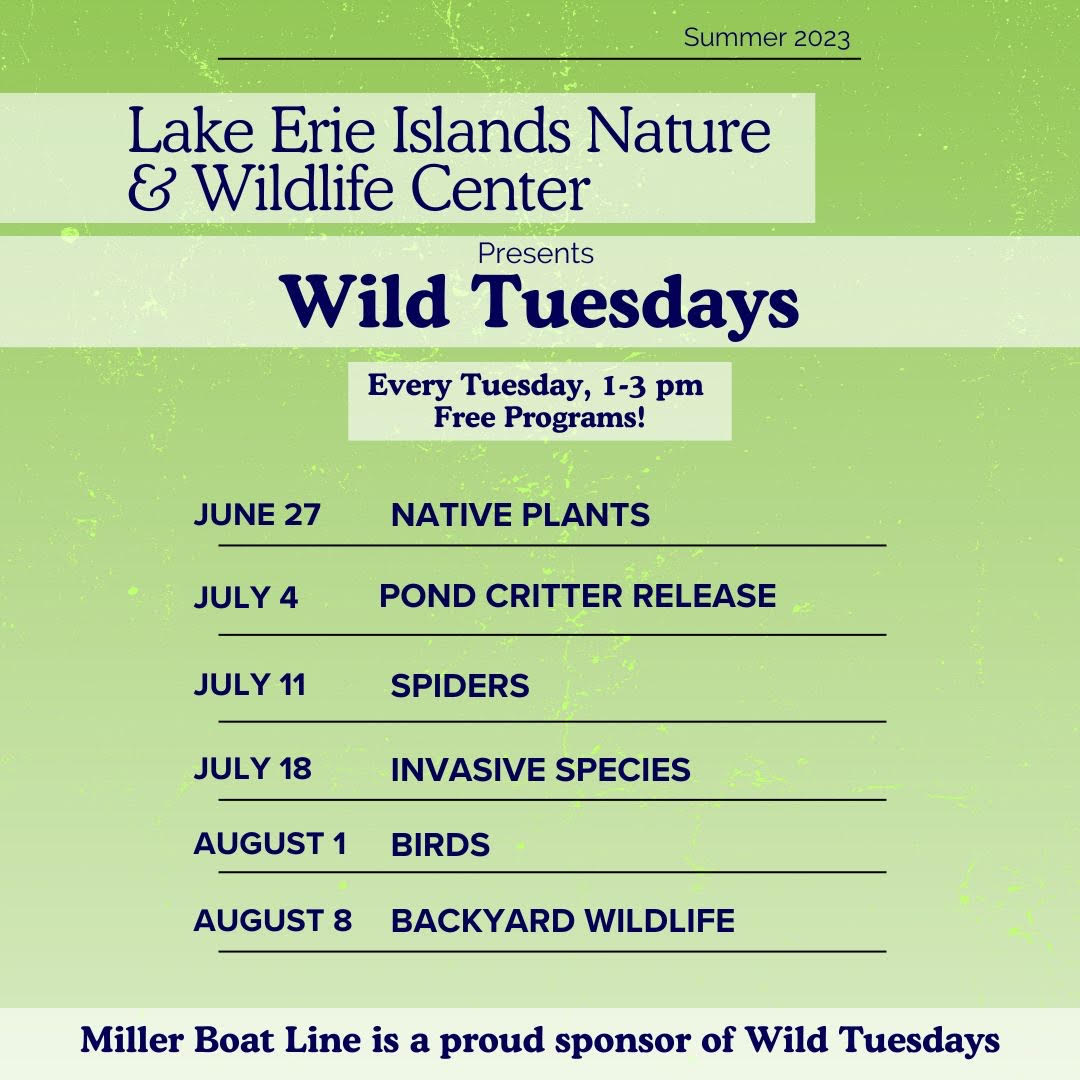 MILLERBOATLINE's tweet photo. Come get wild with the FREE nature &amp; wildlife program at @LEIWildlife on June 27, @PUT_IN_BAY. https://t.co/tS1n6BnsDw #familyfun https://t.co/RvBTAbhJek