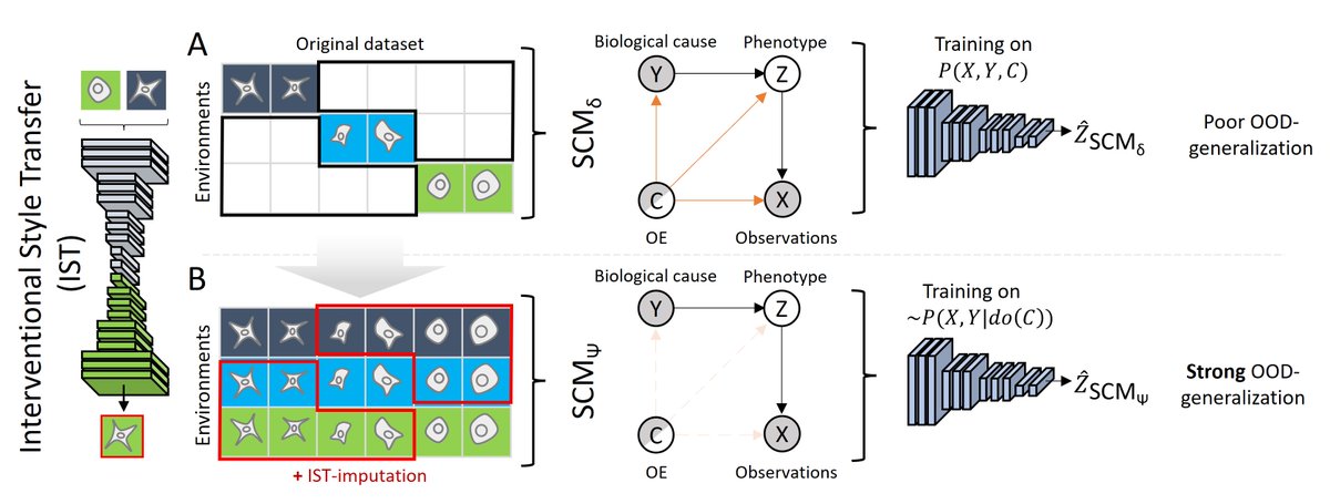Wolfgang M. Pernice tweet media