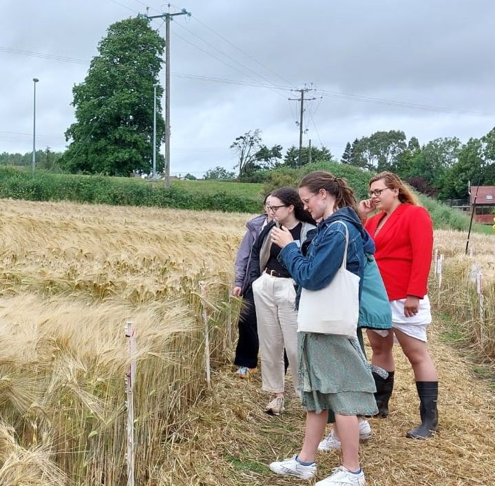 #IPSAM2023 delegates are now at AFBI Crossnacreevy for a tour of the field trials research followed by some welcome refreshments.  This ends a highly successful two day event jointly hosted by @qubigfs <a href="/QUBbioscience/">School of Biological Sciences</a> and @afbi_ni.
#AFBIScience #AFBIResearch #PlantScience