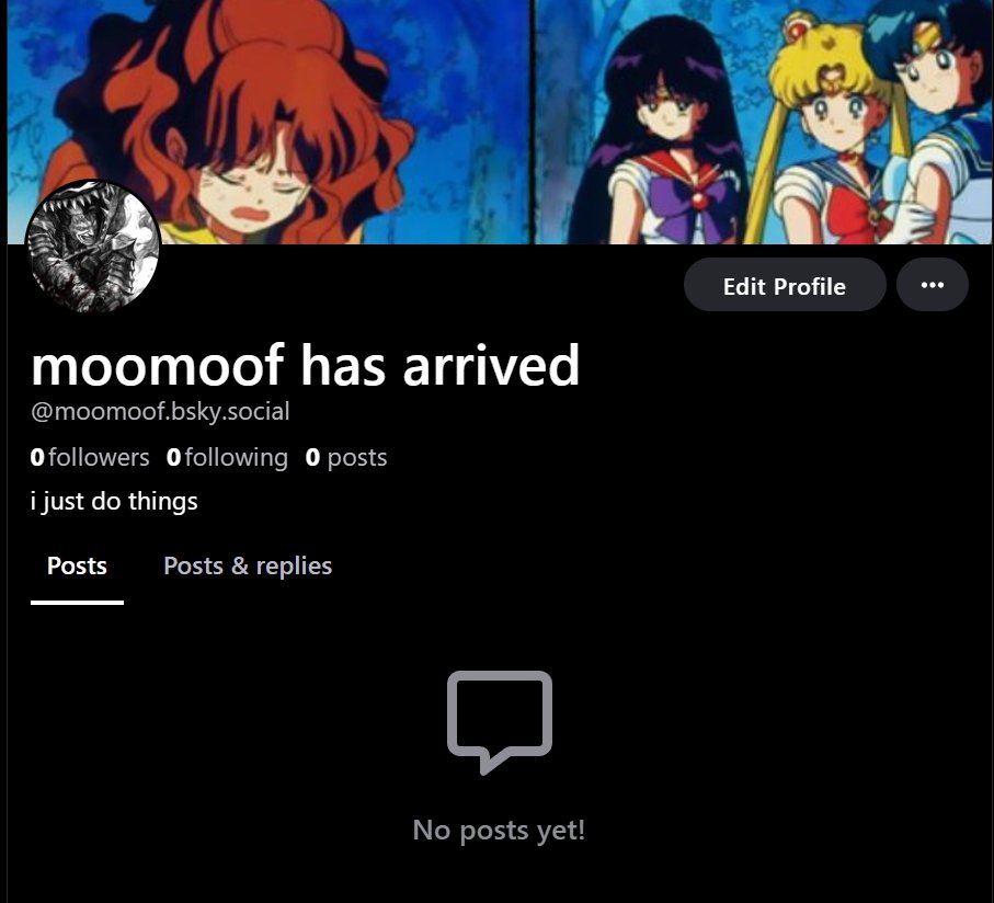 🇵🇷 Moomoof 🎈🎃🎡 tweet media