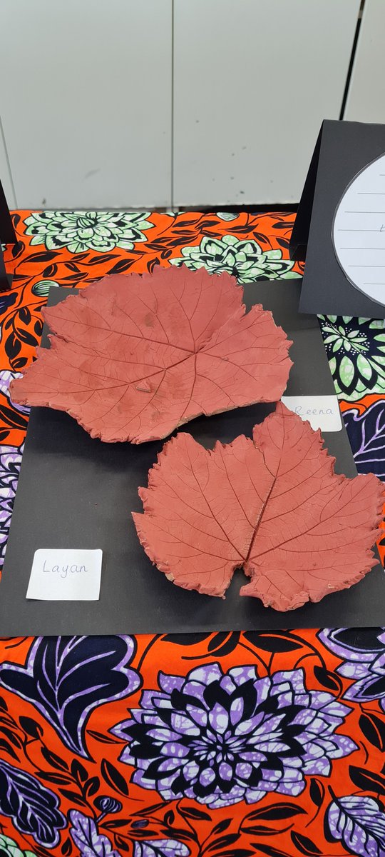 DeltaPrimary's tweet image. Year 3 and Year 4 had a wonderful afternoon showcasing their works of art to parents, carers and grandparents at our Delta Art Exhibition.