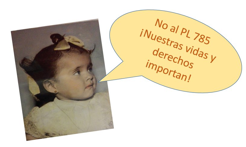ManuelaRamos's tweet photo. ¡Porque nuestras vidas y derechos importan, le decimos no al #PL785!
#PL785NoVa #ProtegeSusVidas https://t.co/BZ1iCNhz3c