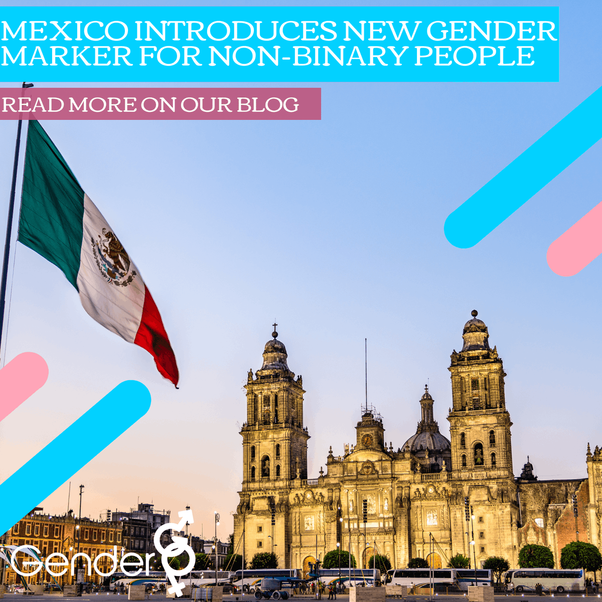 GenderGP tweet media