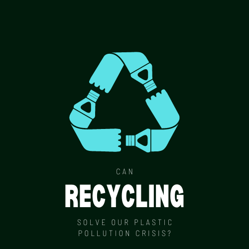 Greenpeace Africa tweet media