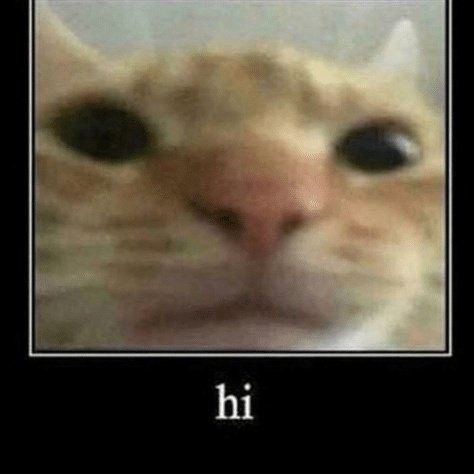 ⠀⠀⠀⠀⠀⠀

⠀⠀⠀⠀⠀⠀