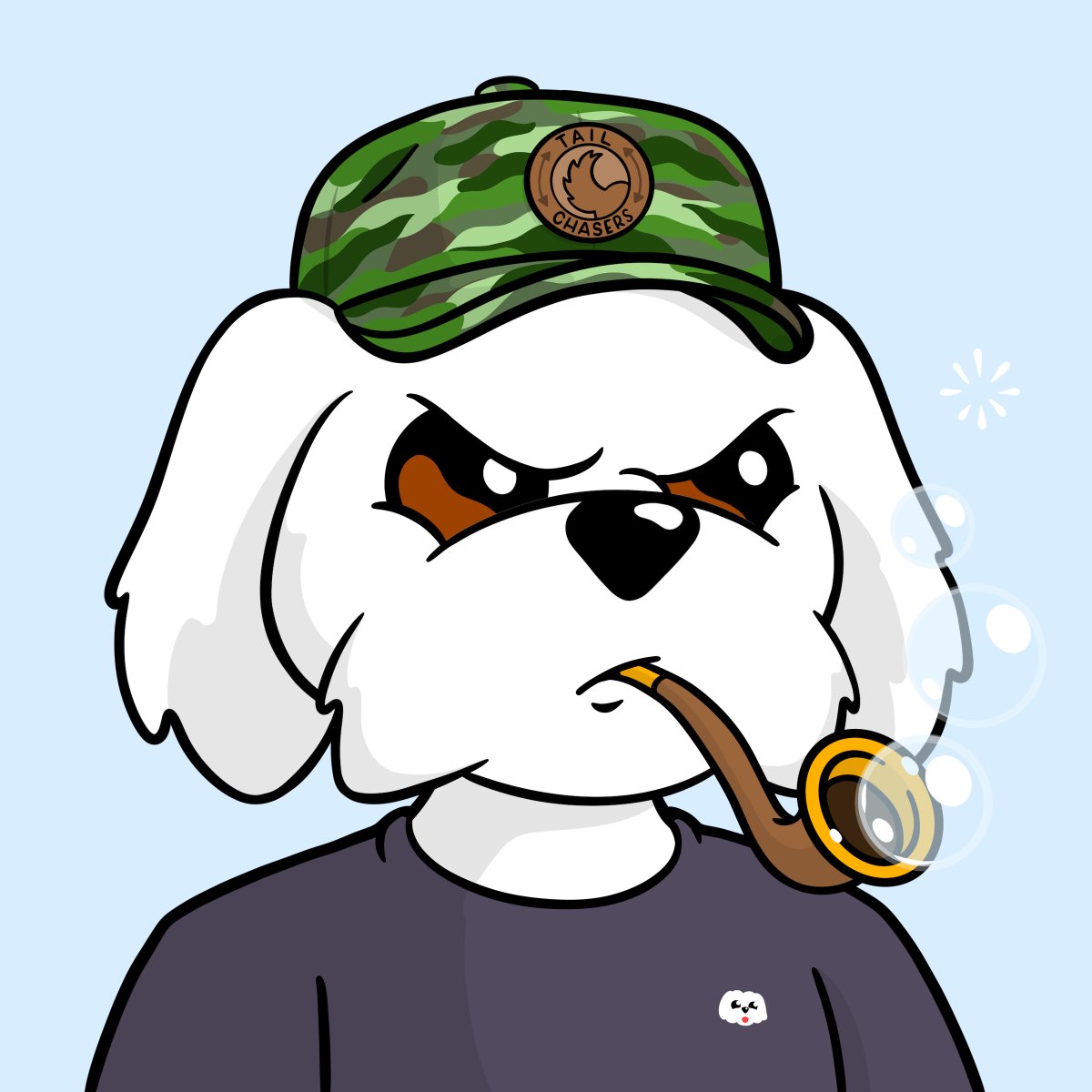 Stephen Skinner tweet media