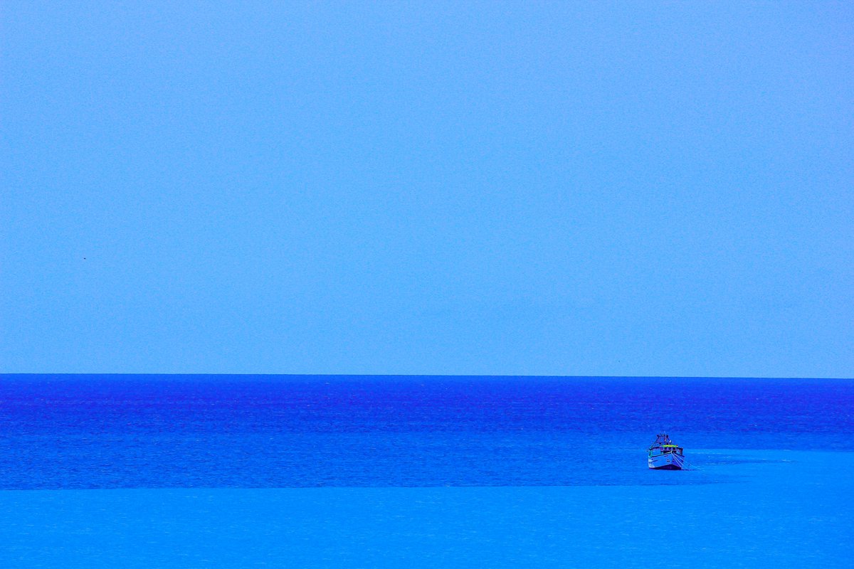 GM,

Show is your most perfect photo.  

PC 📸: twitterus