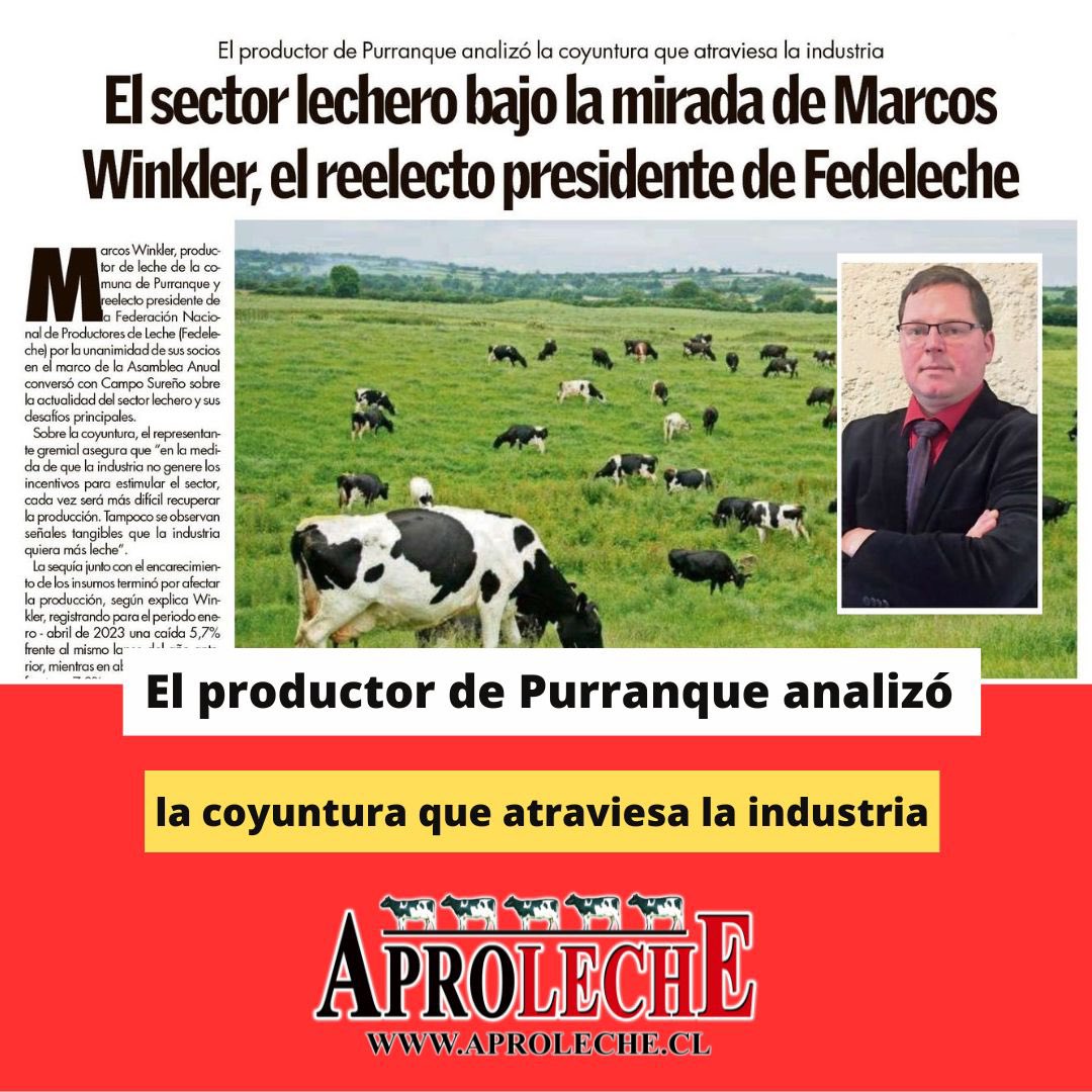🌐 Austral Osorno - Campo Sureño  

📌 El sector lechero bajo la mirada de Marcos Winkler, el reelecto presidente de Fedeleche

👉🏻 Para leer nota completa, los invitamos a ingresar a nuestra web aproleche.cl/el-sector-lech…