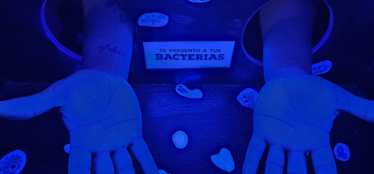 BORECITA's tweet image. -Si me lavo perfectas las manos...
-Las Manos. 😕
(Amo esta caja buchona, amo como entre todos reflexionamos sobre la importancia de un acto tan simple y económico, que a su vez deja en evidencia lo complejo que les resulta a algunos)
#LavateLasManos