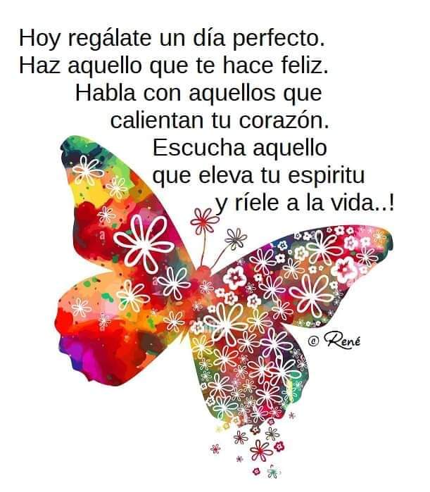 Bonito día