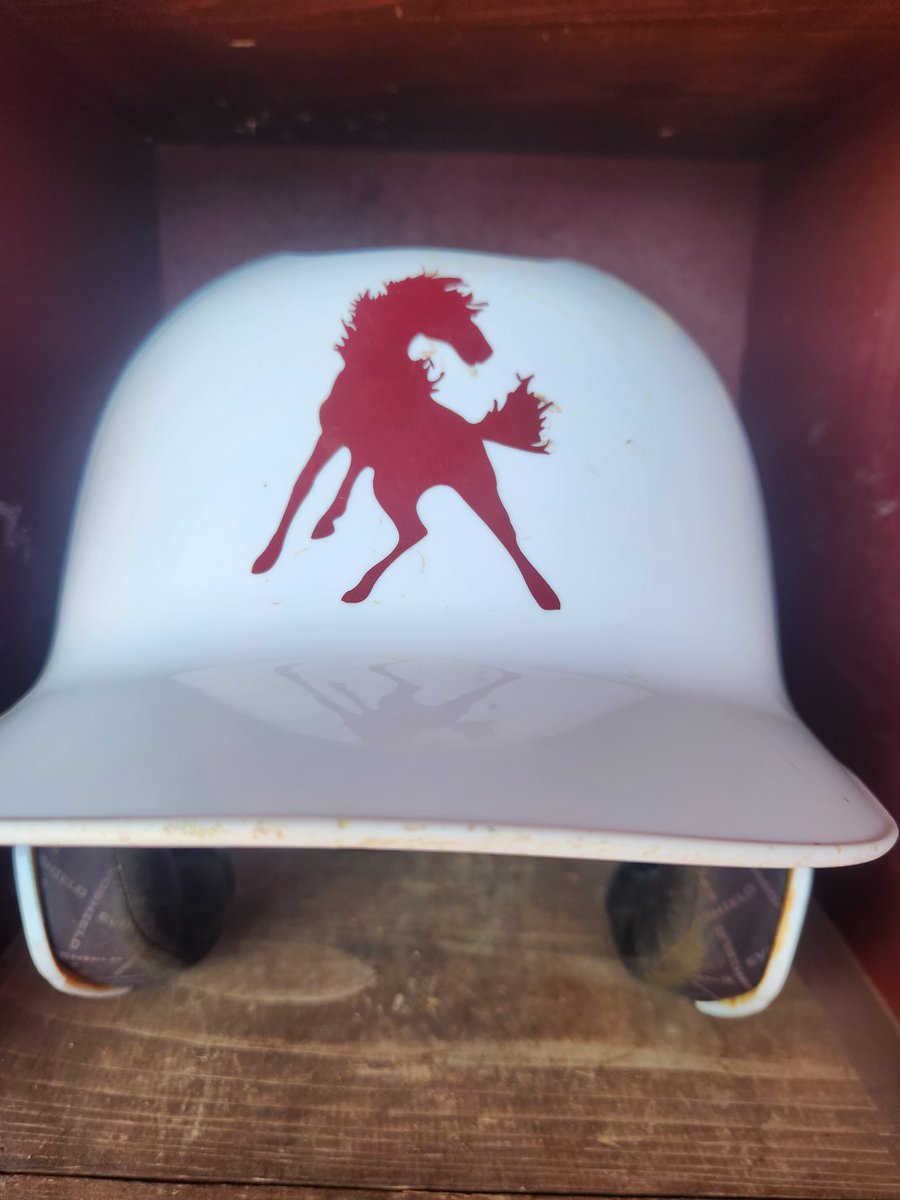 ShenMustangBaseball tweet media