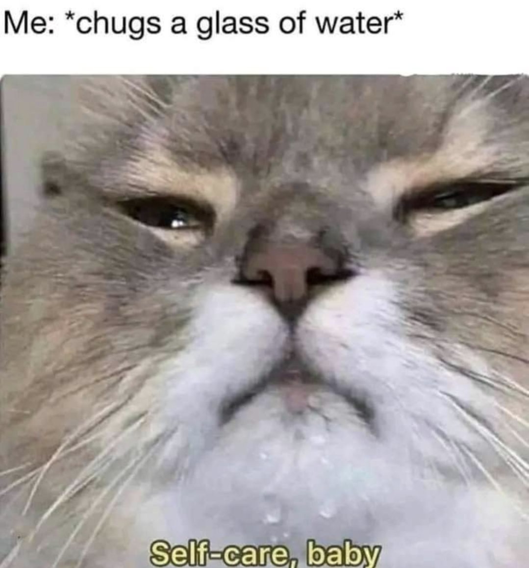 aly_powy's tweet photo. When a viewer says "stay hydrated" on stream.

#Memes #smallstreamer #twitch https://t.co/he2KerZiHA
