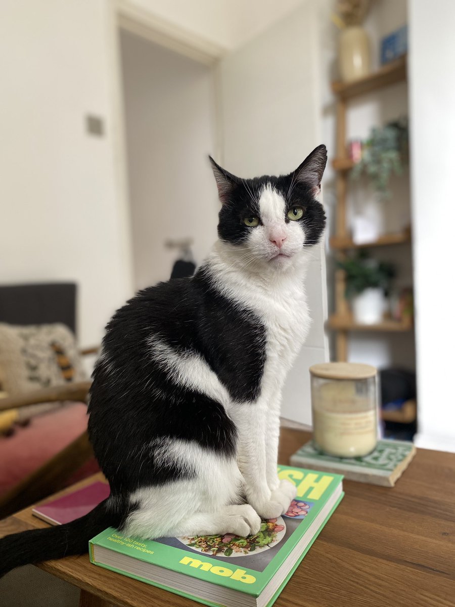 basil 🌿 (@masterbasildon) on Twitter photo 