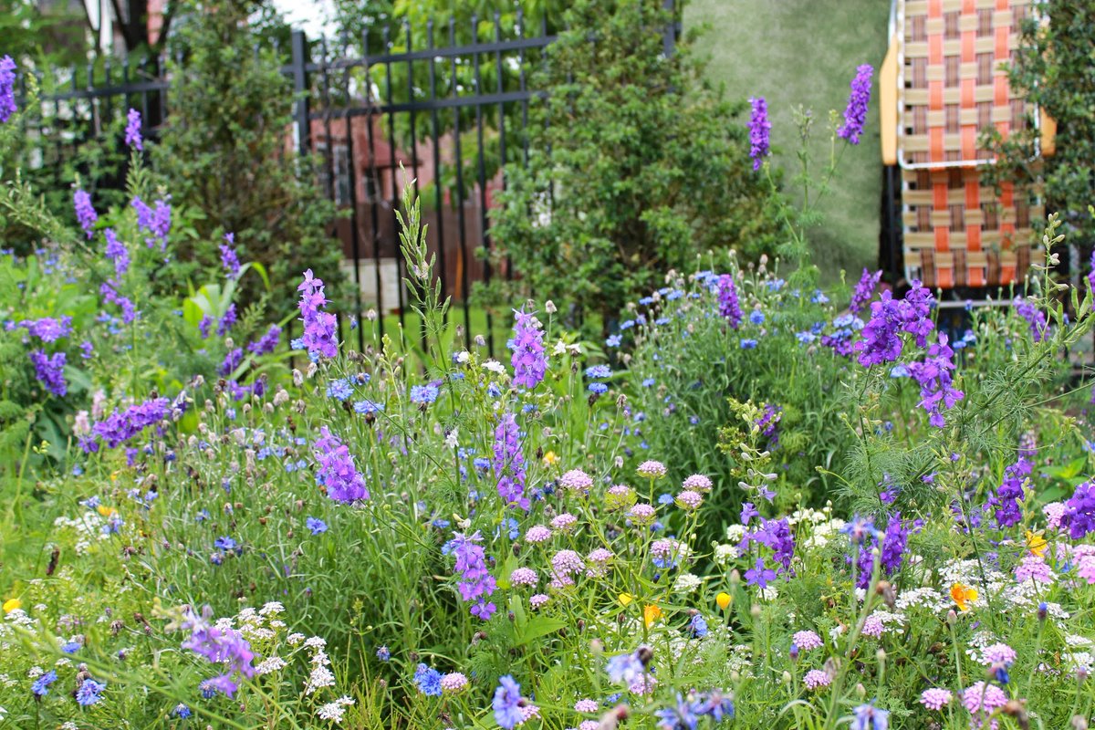 More green infrastructure is coming to Camden! New rain gardens will reduce sewage overflows into the Cooper River and Newton Creek. #Camden #NJFlooding #CooperRiver #GreenInfrastructure bit.ly/3r0iNBr