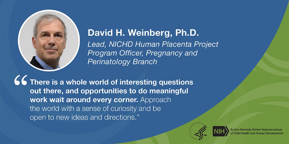 (1/2) Meet David Weinberg, Ph.D., program officer in the Pregnancy and Perinatology Branch and lead for the #HumanPlacentaProject at #NICHD. In the latest #GetToKnowNICHD interview, he discusses career advice for scientists, his journey to NICHD, and more. go.nih.gov/Y0eoGCq