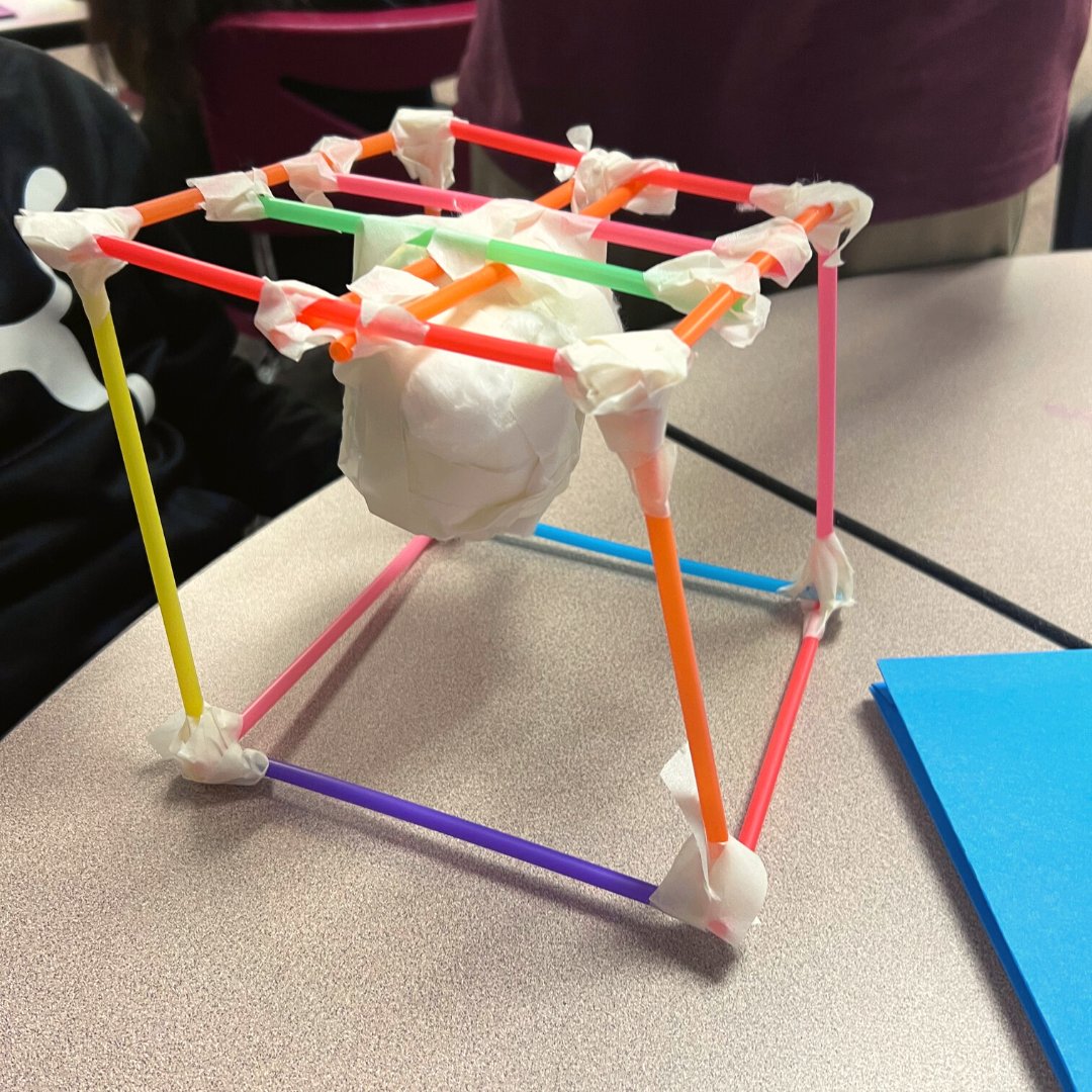 Brightlane Learning tweet media