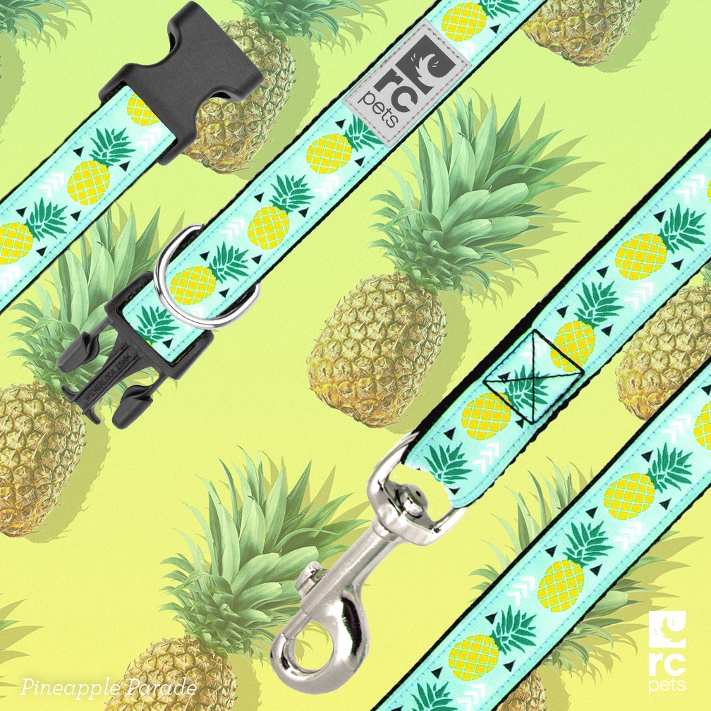 🍍 we're just here to wish you all a very happy international pineapple day 🍍

Wanna get your paws on this fun and fresh collar and leash? Shop this fan fave and more at: l8r.it/hVx8

#rcpets #welovepets #inspiredbypets #makeeverydayatreat