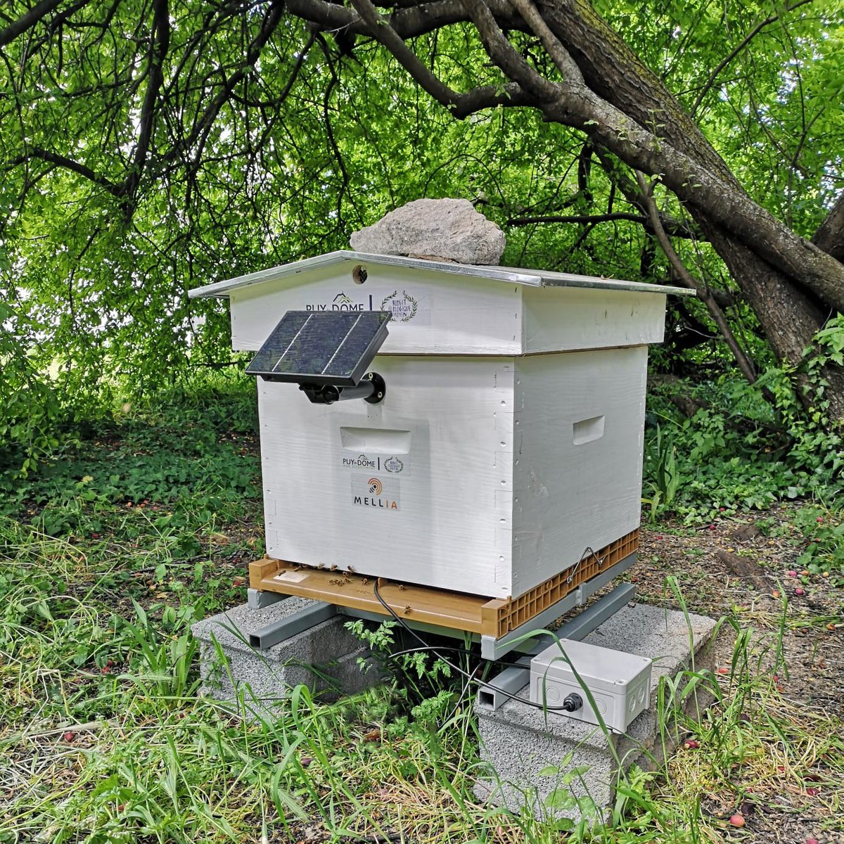 Artips_fr's tweet photo. Dans la famille des #objetsconnectes, je demande... la ruche ! On vous en dit plus sur ce projet collaboratif qui marie #apiculture et #technologie avec le @TheaVilleParis 🔜 https://t.co/FSZ8vbKAHD 🐝 https://t.co/AHLp7blBJ9