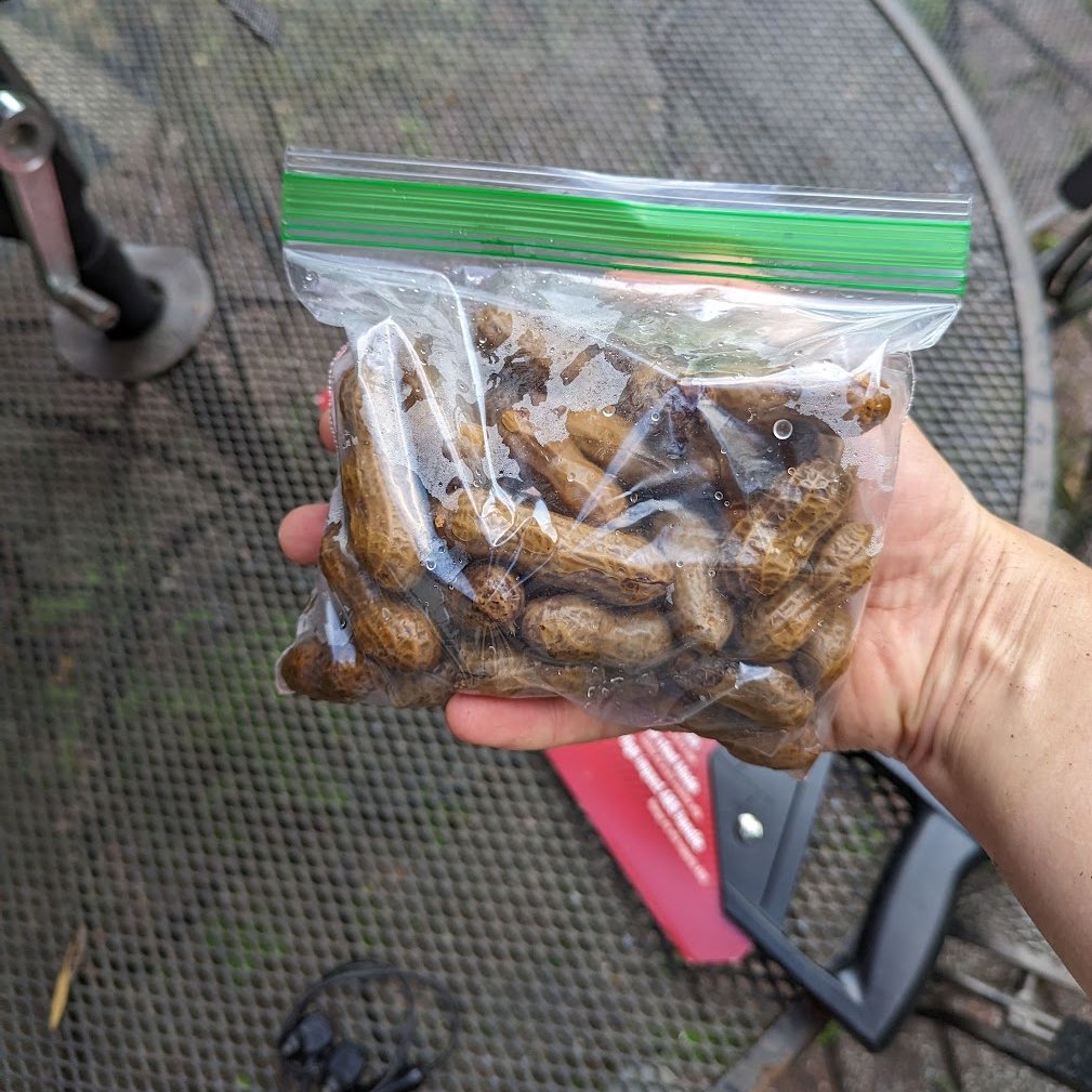 Logan Ward tweet media