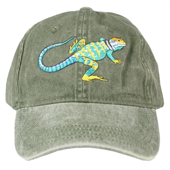 wnpa1938's tweet photo. This collared lizard makes its home at Alibates Flint Quarries National Monument. Take a collared lizard ball cap from our store home with you and take a little wild desert Southwest color with you wherever you go. https://t.co/nYPxh3Bzop https://t.co/1BZmRYvRw3