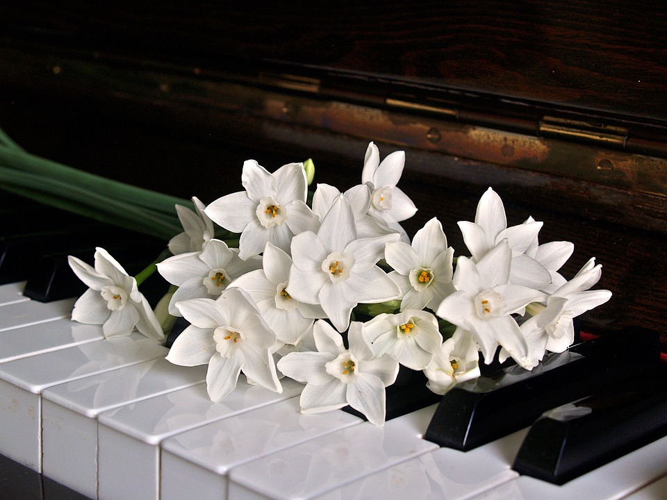 sweetstickyrain's tweet photo. Daffodils, Jonquils and Narcissus: Answer to love vs Respect and pride
https://t.co/gqgbYdIa2y
#Answertolove
#RespectAndPride
#Jonquils
#Jonquil https://t.co/GoUTiWjiCZ