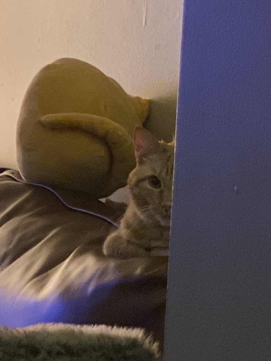 kittygi51187082's tweet photo. waiting https://t.co/QbXT7qT6uq