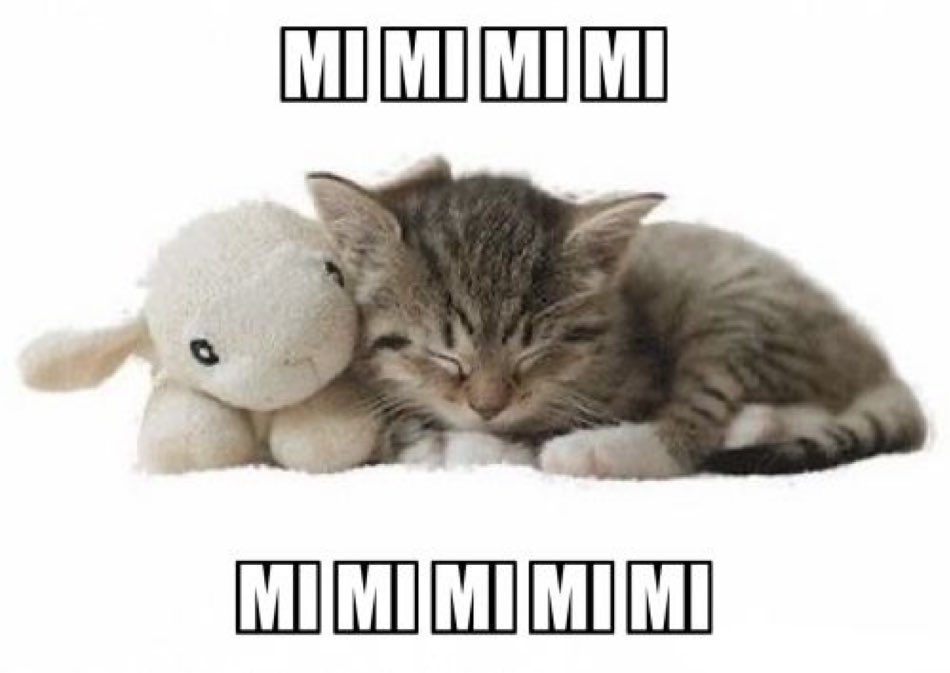 heja 😘 jestem nowostary na rp i szukam aktywnych ludzi do zakolegowania Itp .. ( dajcie rt prosze )