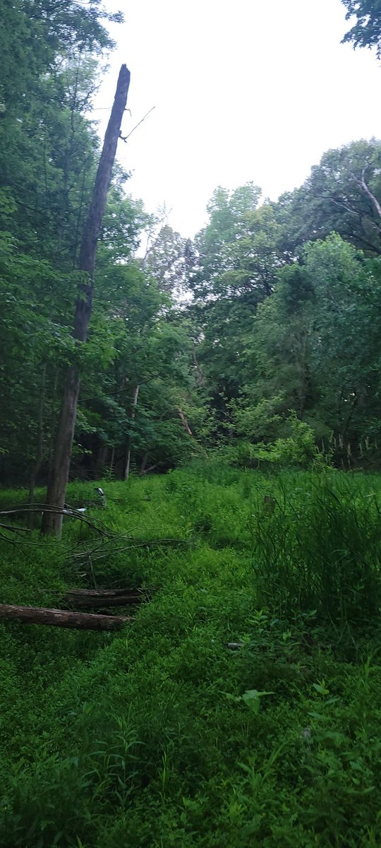 Đmt-ape.Ξth tweet media